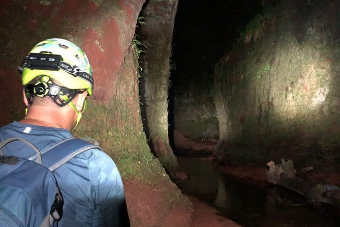 Join the Dark Side of Magical Nature - Final Thoughts: Is It Worth It?