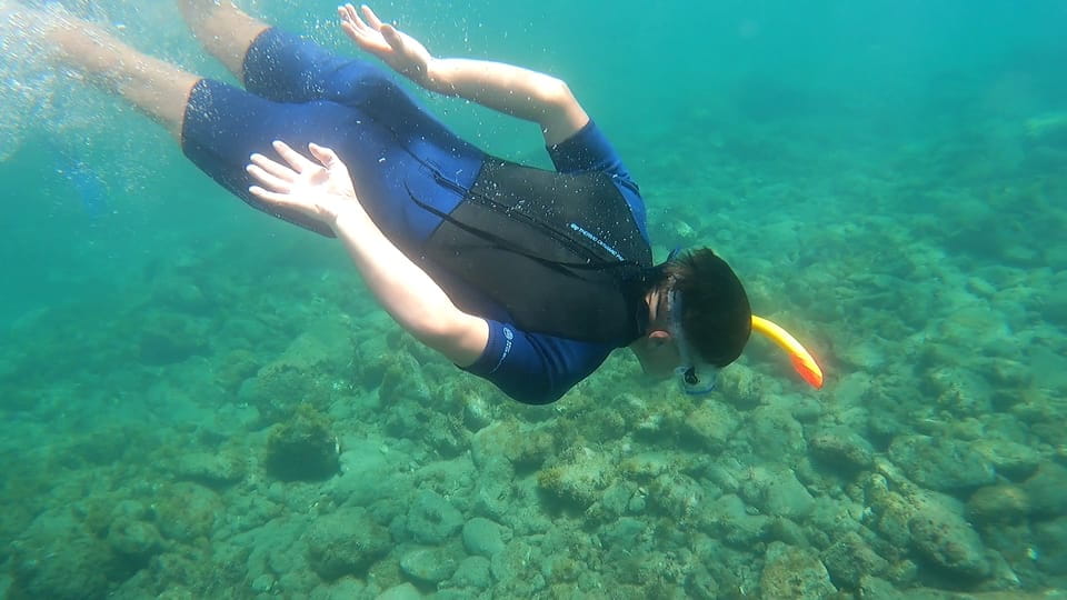 Join Us on a Snorkel Boat Tour - Important Information