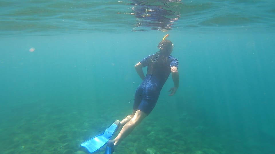 Join Us on a Snorkel Boat Tour - Languages and Tour Guide