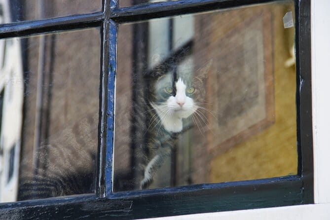 Jordaan District Walking Tour in German - Exploring the Jordaan: A Detailed Walkthrough