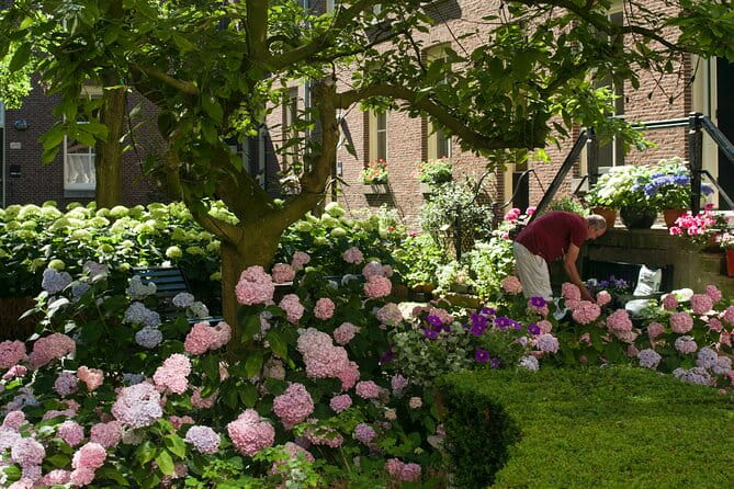 Jordaan District Walking Tour in German - FAQ