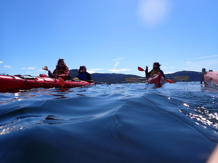 Jørpeland: Guided Fjordtour Kayak - Frequently Asked Questions