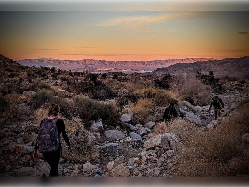 Joshua Tree: Half-Day Private Hike of the National Park - Learning About the Parks History