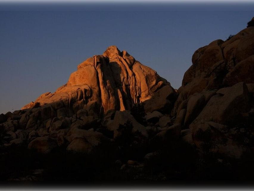 Joshua Tree: Half-Day Private Hike of the National Park - Customizing the Hiking Experience