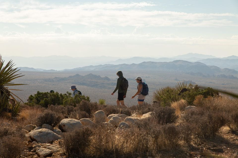 Joshua Tree NP: Sunrise or Sunset Tour - Sunrise Tour Highlights