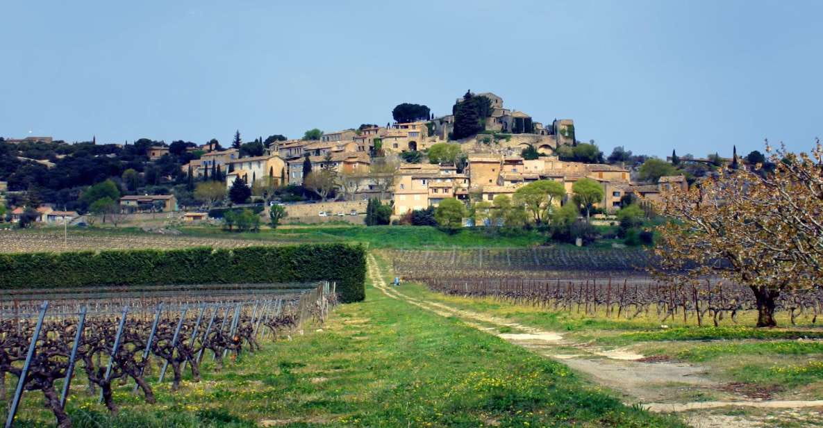 Joucas: Vineyard Bike Ride - Traversing Forests and Trails