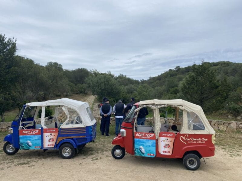 Journey Through Time - Discover Sardinia's Ancient Treasures - Introduction: A Journey Through Sardinia’s Past in Olbia