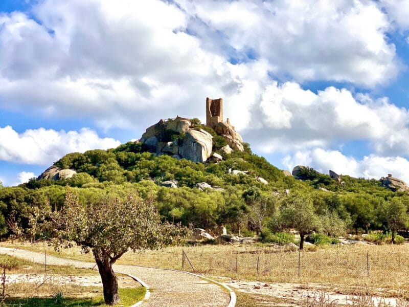 Journey Through Time - Discover Sardinia's Ancient Treasures - Price and Overall Value