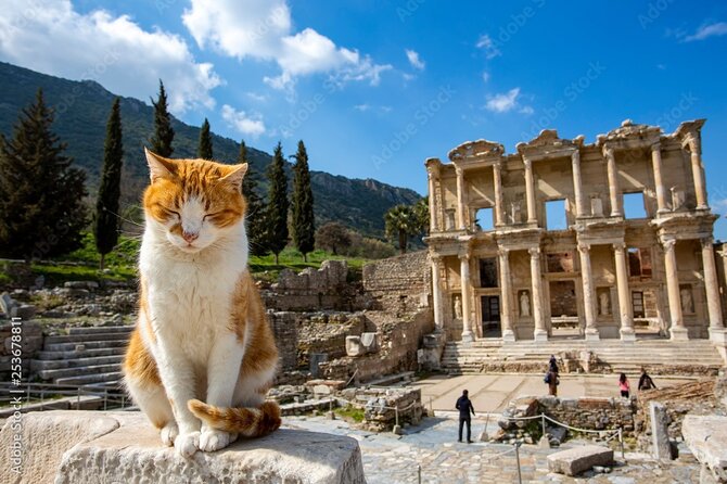 Journey to Ancient Wonders: Explore Ephesus With a Private Tour - Confirmation and Cancellation