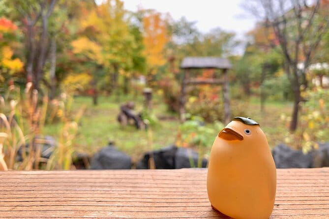 Jozankei Autumn Leaves Day Tour by Private Car - Key Points