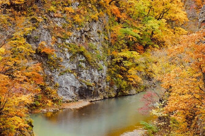 Jozankei Autumn Leaves Day Tour by Private Car - Admission Fees