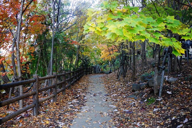 Jozankei Autumn Leaves Day Tour by Private Car - Pickup and Accessibility