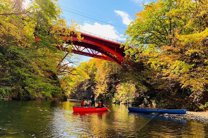 Jozankei Autumn Leaves Day Tour by Private Car - Health and Safety Requirements