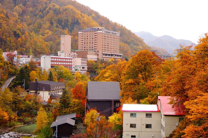 Jozankei Autumn Leaves Day Tour by Private Car - The Sum Up