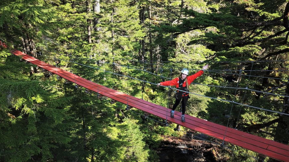 Juneau: Alpine Zipline Adventure - Rainforest Canopy Adventure