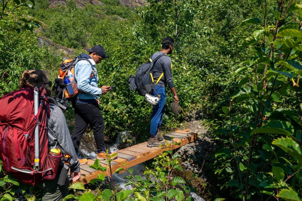 Juneau or Mendenhall Valley: Mendenhall Glacier Day Trip - Included in the Tour