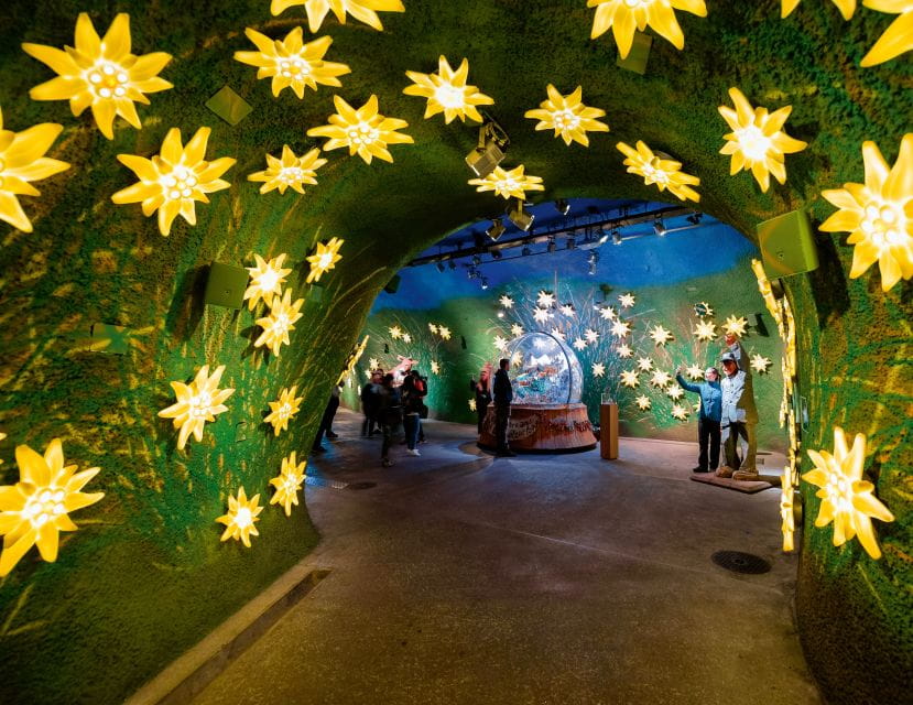 Jungfraujoch Top of Europe: A Self-Guided Alpine Adventure - Alpine Sensation Exhibition