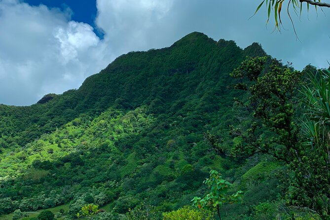 Jungle Expedition Tour at Kualoa Ranch - Scenic Locations