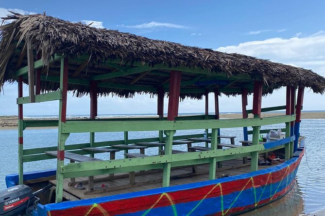 Jungle Safari Excursion - Reviews Summary