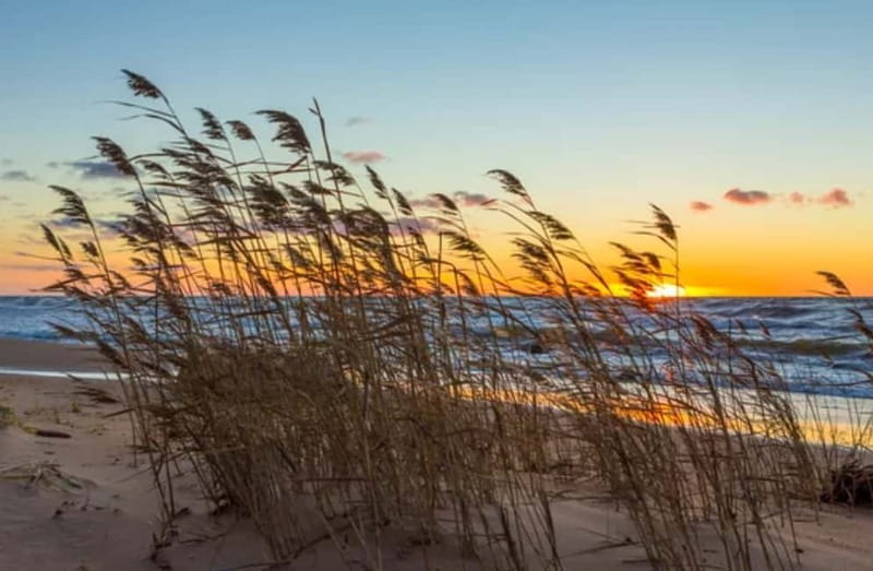 Jurmala,Kuldiga,Ragaciems Beach, Kemeri N park, Food & Drink - Frequently Asked Questions