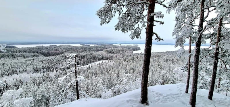 Jyvaskyla: Ice Fishing Experience with a Finnish Guide - The Cultural Element & Storytelling