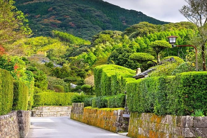 Kagoshima Full-Day Private Tour With Government-Licensed Guide - Mount Sakurajima: Exploring the Active Volcano