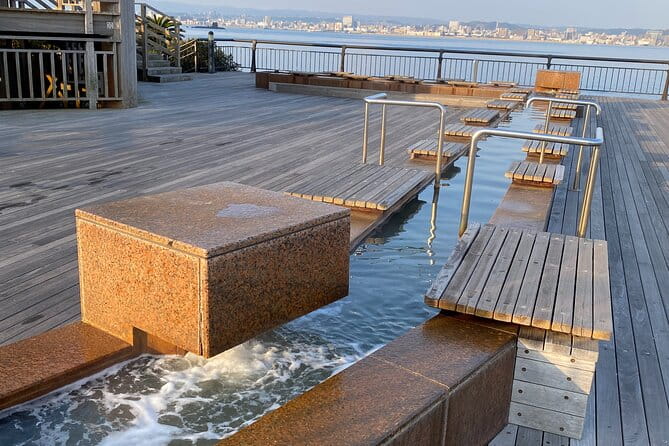 Kagoshima Highlights Private Tour, Sakurajima Volcano and More - About Your Experienced Guide