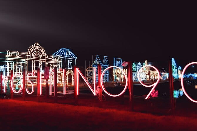 Kagoshimas Largest Winter Light Display - Ticket Pricing and Booking Options