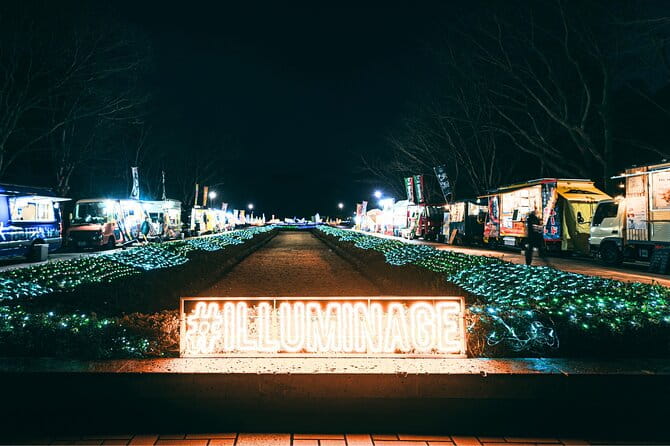 Kagoshimas Largest Winter Light Display - Highlights of the Light Display