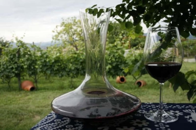 Kahketi: Full-Day Wine Tasting Tour with Lunch - Key points / Takeaways