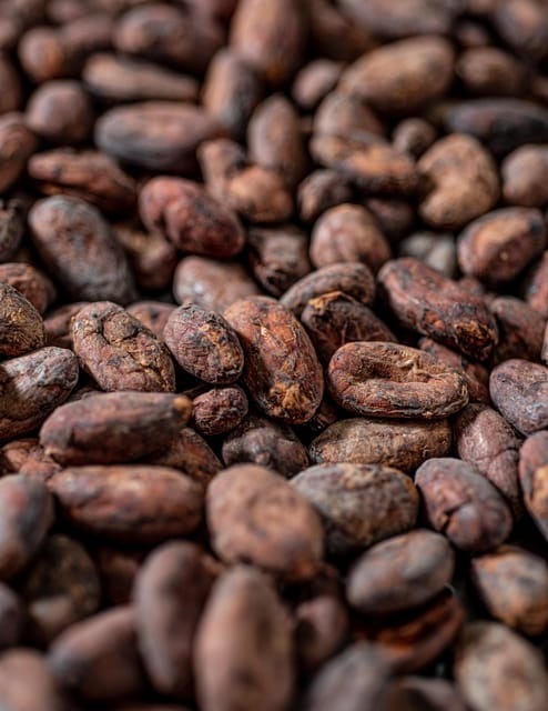 KAIACAO Bean to Bar and Design your own chocolate experience - Exploring Madrid’s Chocolate Craft: KAIACAO Bean-to-Bar Experience