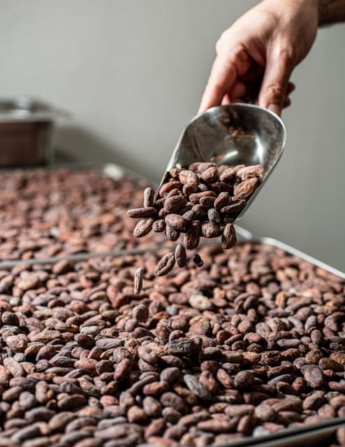 KAIACAO Bean to Bar and Design your own chocolate experience - The Journey from Bean to Bar