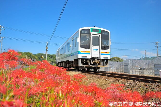 Kakegawa Castle and Sake Tasting Private Tour With Public Train - Important Meeting and Transportation Details