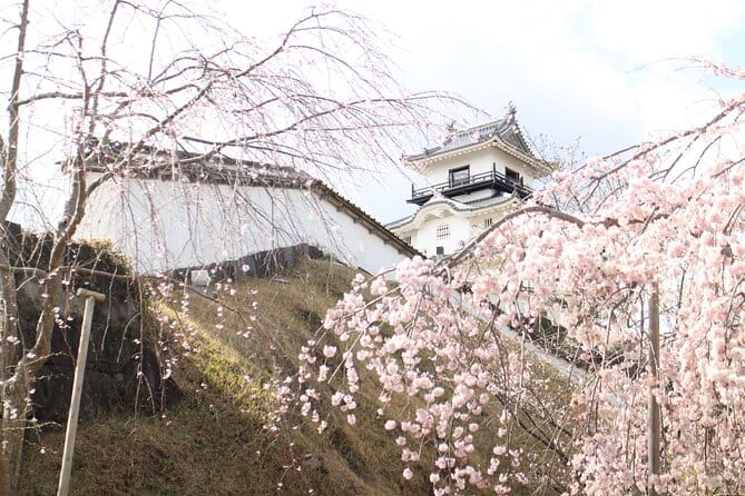 Kakegawa Castle and Sake Tasting Private Tour With Public Train - Policies and Additional Information