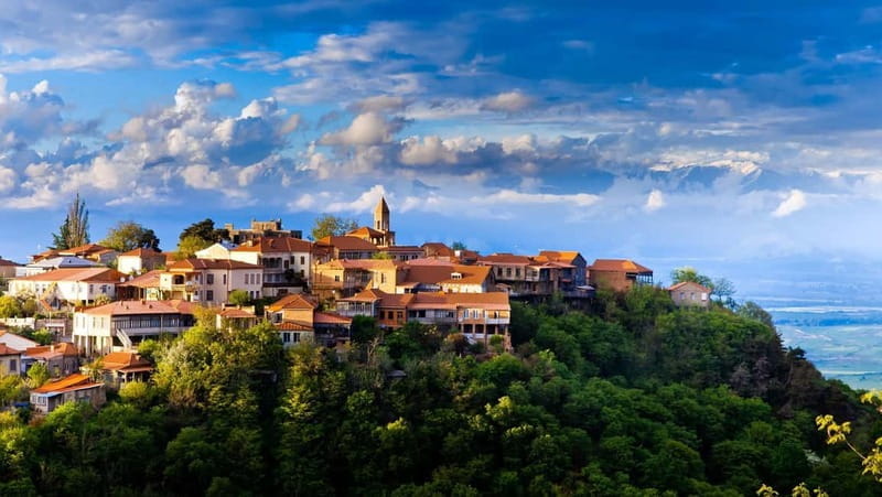 Kakheti: Bodbe, Sighnaghi, and Telavi Full-Day Tour - Price and Logistics: Good Value, Some Caveats