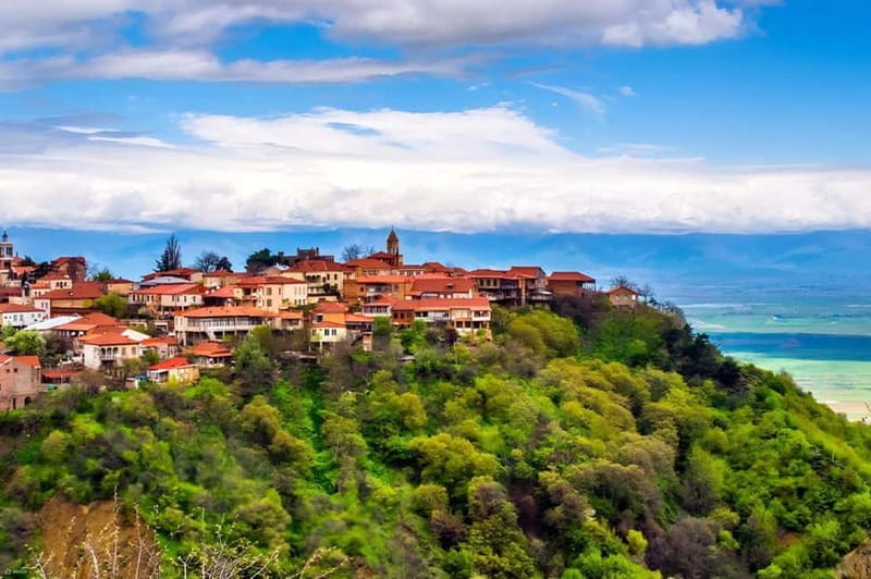 Kakheti: Bodbe, Sighnaghi, and Telavi Full-Day Tour - Who Would Love This Experience