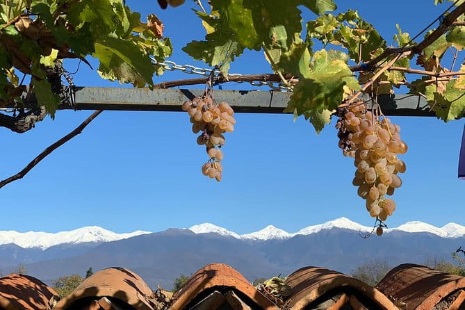 Kakheti tour - Private Full Day Wine tour with Lunch and Wine tasting - An In-Depth Look at the Kakheti Wine Tour Experience