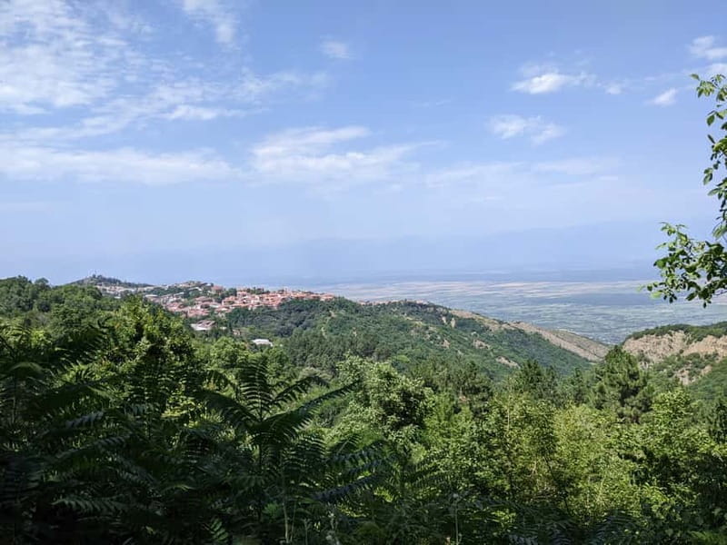 Kakheti: Wine tour from Tbilisi - Enjoy 6 sorts of wine - Key points / Takeaways