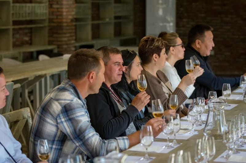 Kakheti: Wine tour from Tbilisi - Enjoy 6 sorts of wine - Who Should Consider This Tour?