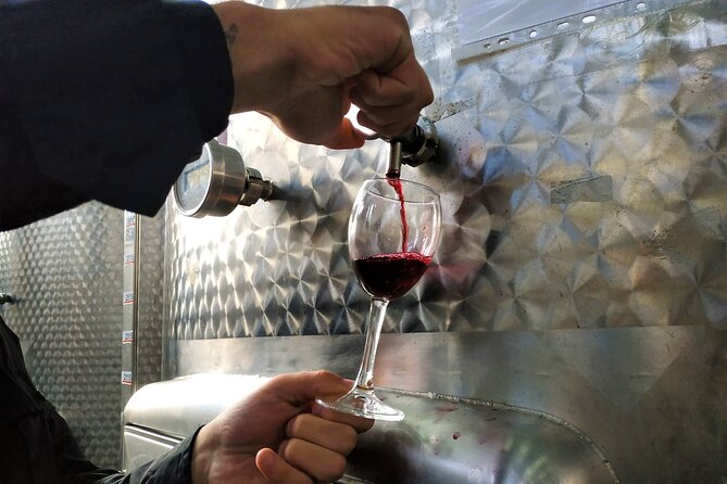 Kakheti Wine Tour With 20+ Wine Tastings & Qvevri Masterclass - Booking and Cancellation