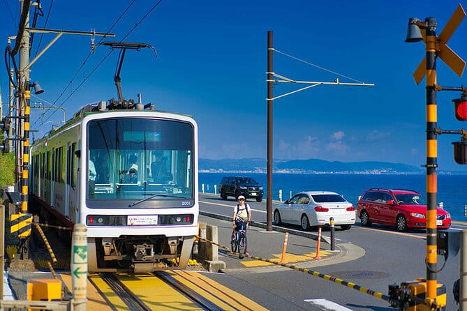 Kamakura Half Day Tour With Local Expert Guide - Exploring the Historical Highlights of Kamakura