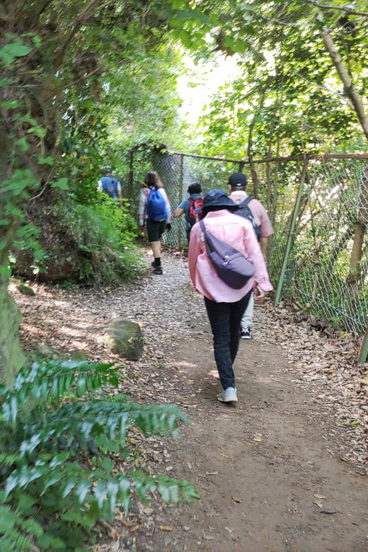 Kamakura: Hiking With Private Guide in Spanish - Key Points