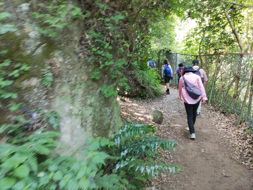 Kamakura: Hiking With Private Guide in Spanish - Inclusions and Fees