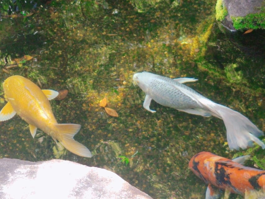 Kamakura: Hiking With Private Guide in Spanish - Important Information