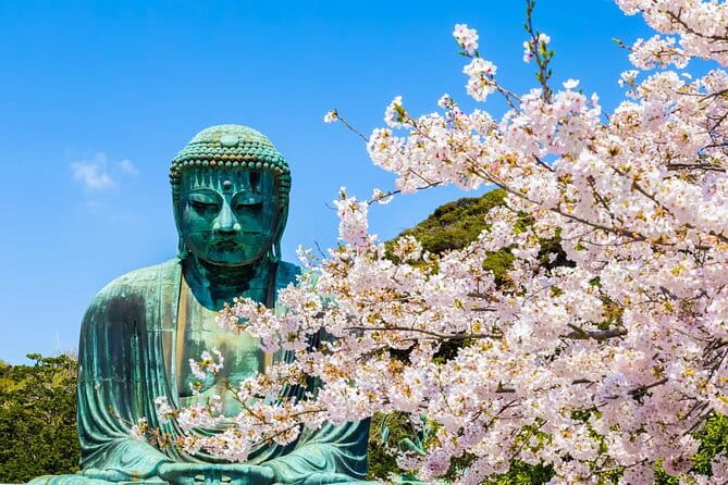 Kamakura Kotoku-In Temple and Enoshima Day Tour From Tokyo - Meeting and Transportation