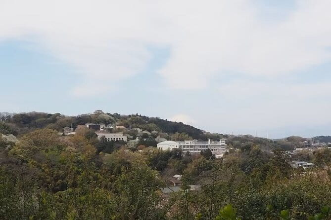 Kamakura Private Cultural and Historical Hiking Tour - Key Points