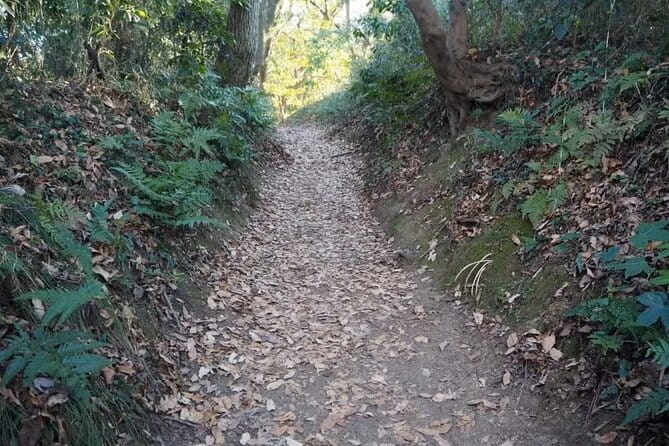 Kamakura Private Cultural and Historical Hiking Tour - Exploring the Iconic Temples and Shrines