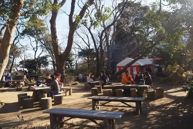 Kamakura Private Cultural and Historical Hiking Tour - Appreciating the Breathtaking Coastal Scenery