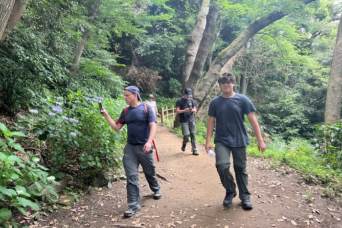Kamakura Private Cultural and Historical Hiking Tour - Learning About the Regions Cultural Traditions