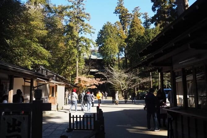 Kamakura Private Cultural and Historical Hiking Tour - Indulging in the Local Culinary Delights